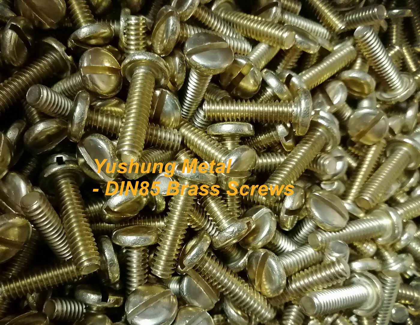 Brass slot pan head machine screws